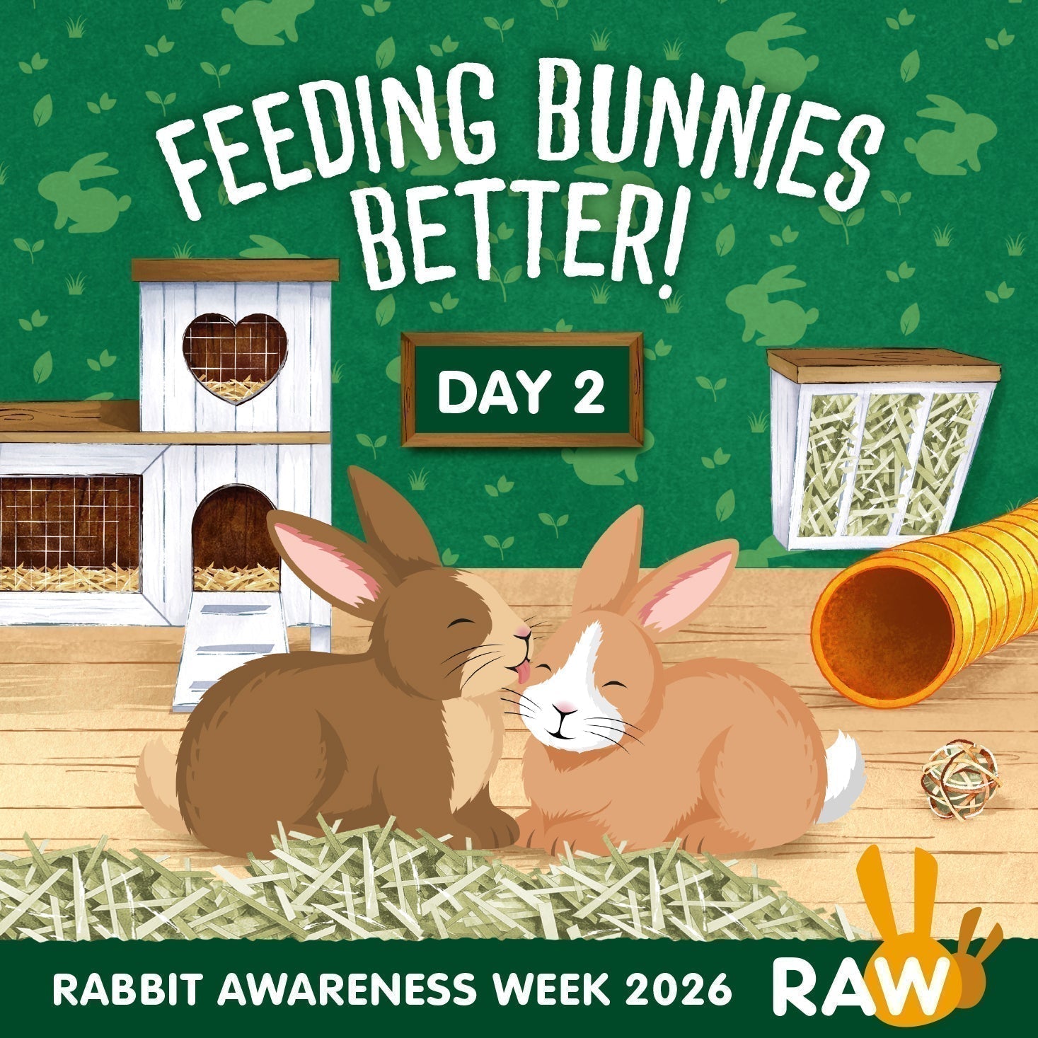 Two bonded rabbits grazing side by side during Rabbit Awareness Week 2026