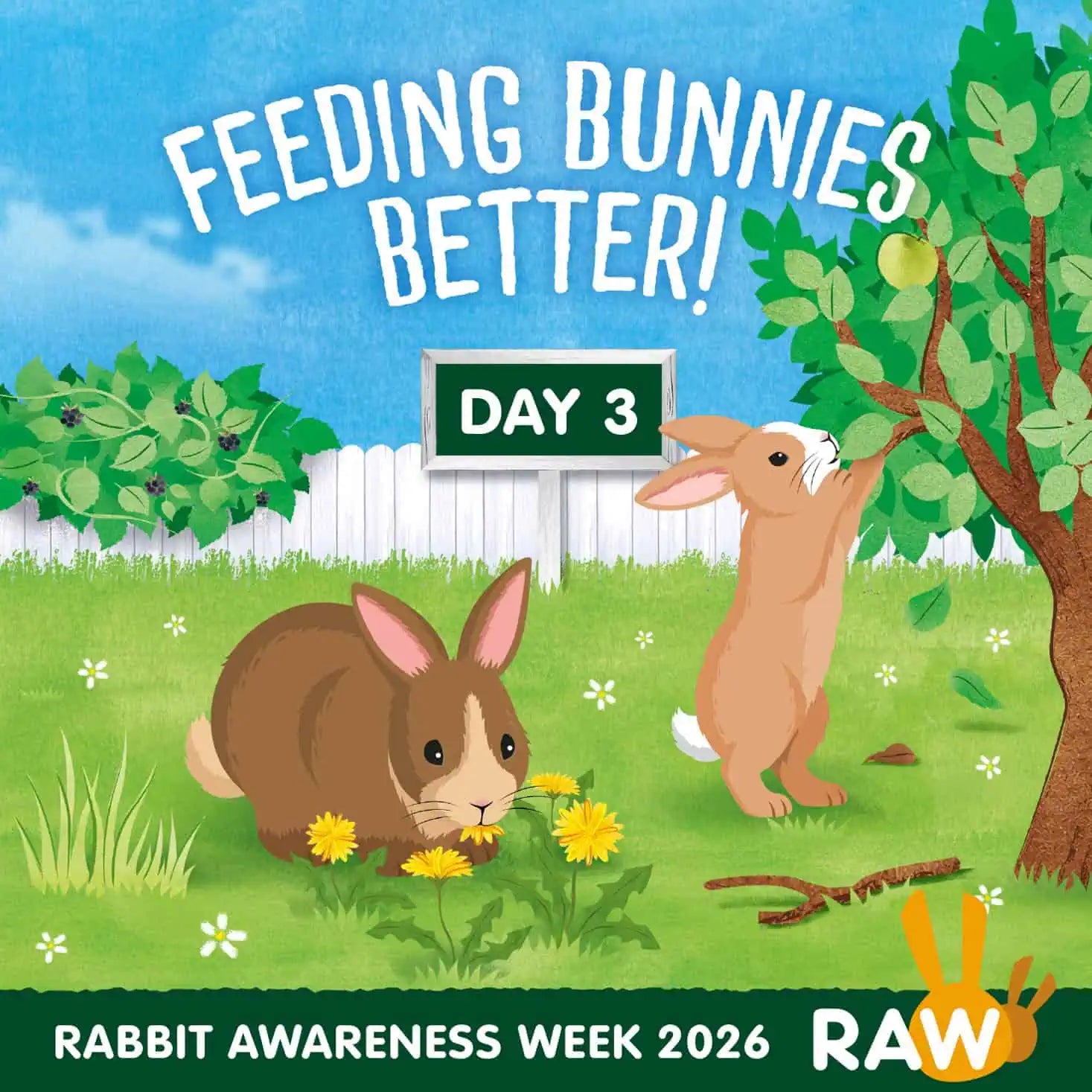 Rabbit eating hay as part of a healthy balanced diet - Rabbit Awareness Week 2026