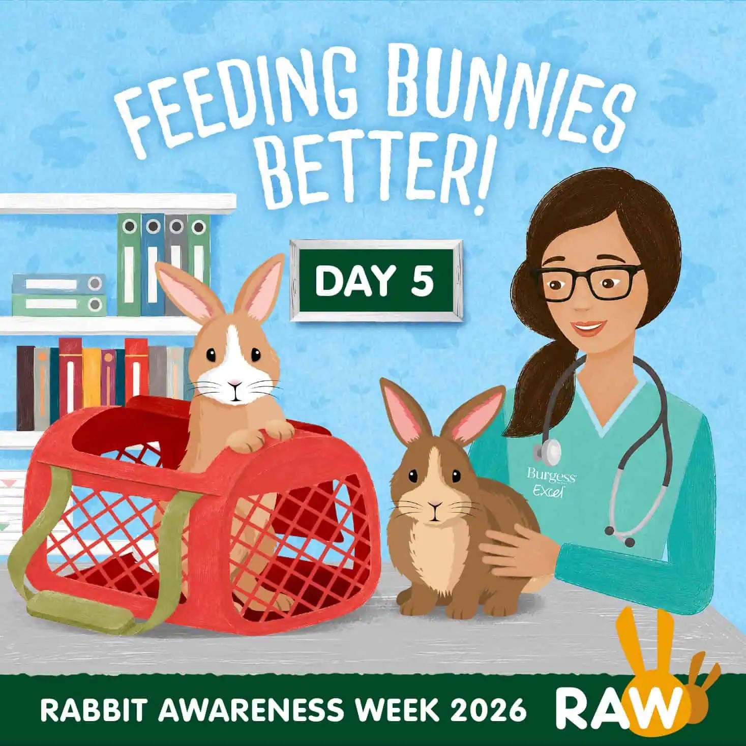 Healthy rabbit with good appetite showing signs of wellbeing - Rabbit Awareness Week 2026