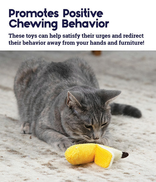 Dental Banana Cat Chew Toy