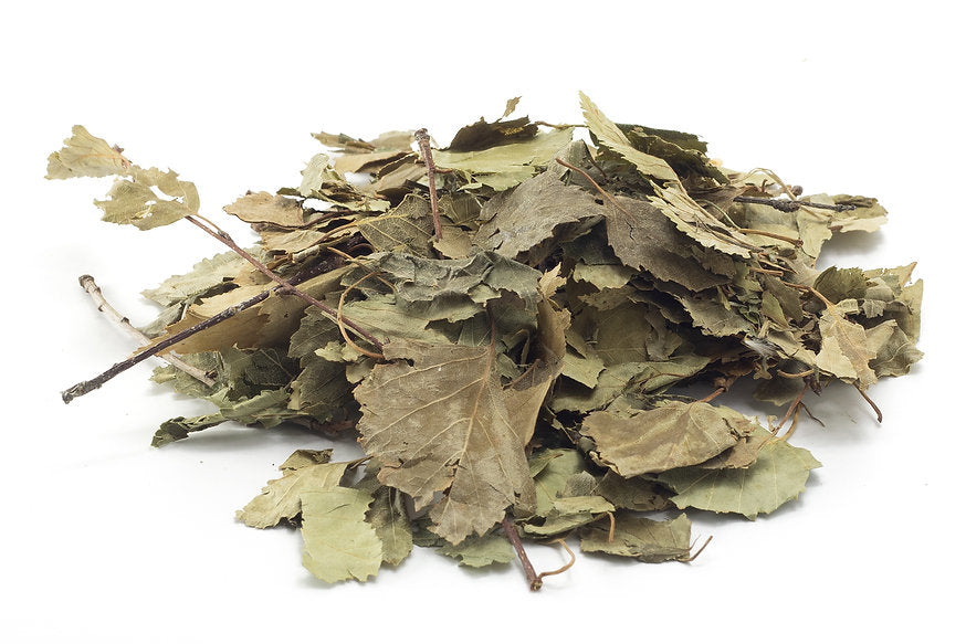 A pile of birch leaves