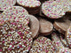 Monster Chocs Dog Treats