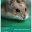 RSPCA Care Leaflets