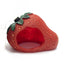 Novelty Fruit Shaped Hamster House