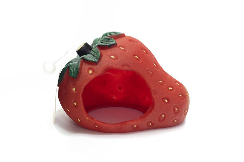 Novelty Fruit Shaped Hamster House