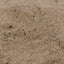 A close up of reptile sand