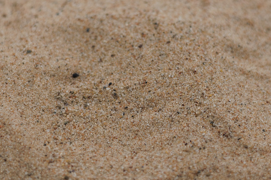 A close up of reptile sand