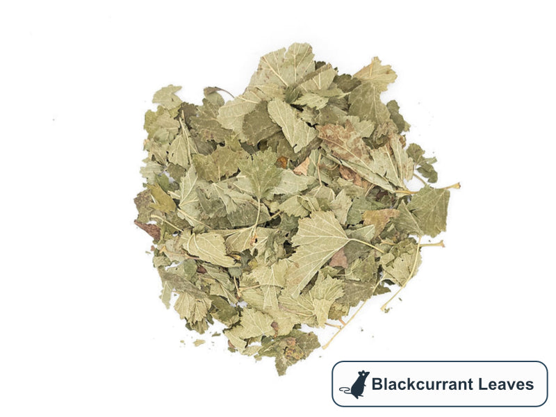 A pile of blackcurrant leaves