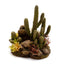 Decorative aquarium scene with cacti, rocks, and plants on a white background