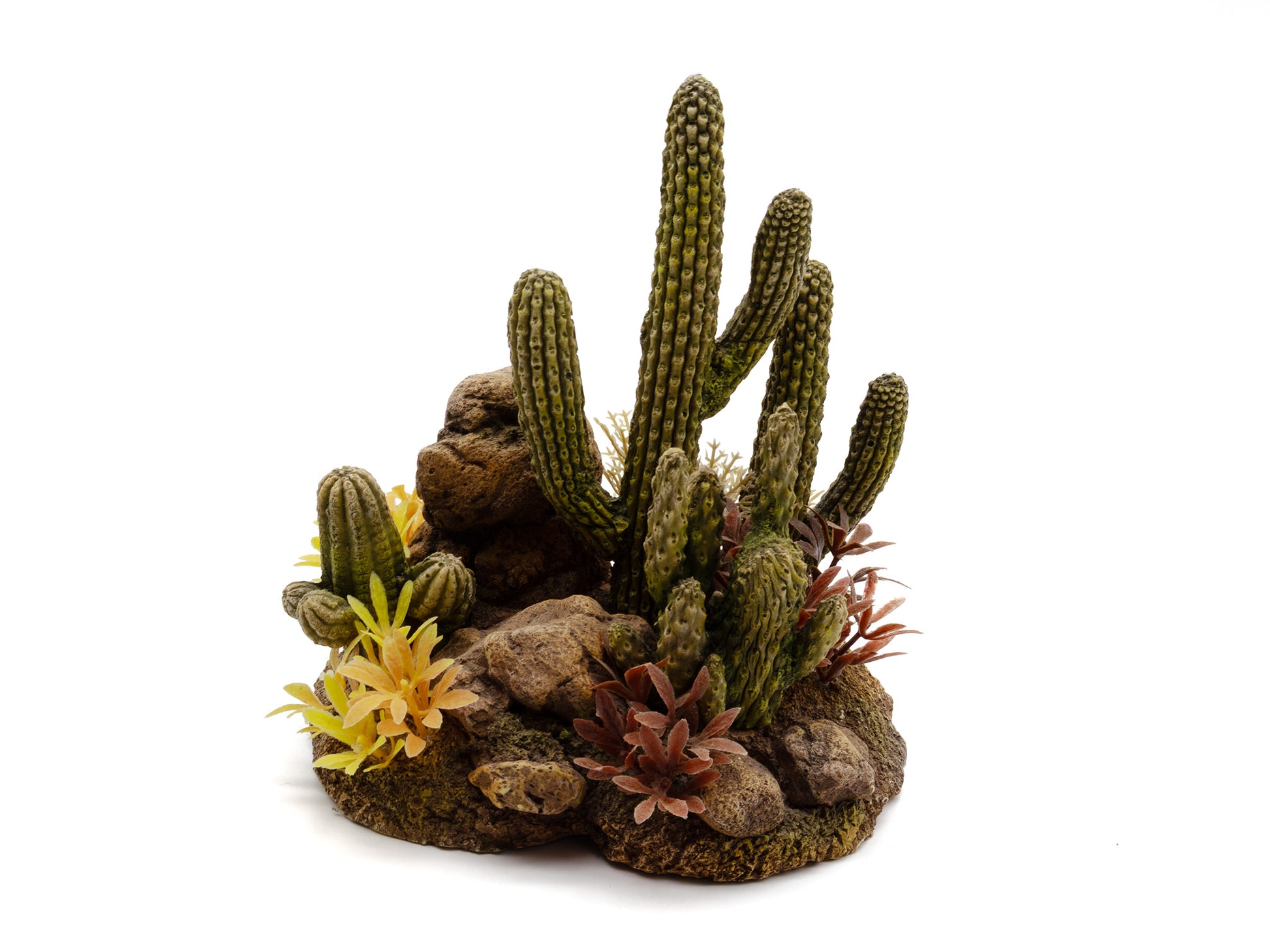 Decorative aquarium scene with cacti, rocks, and plants on a white background