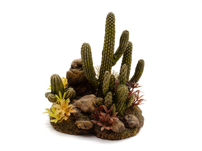 Decorative aquarium scene with cacti, rocks, and plants on a white background