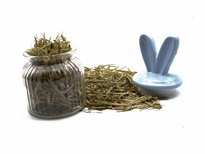 Glass jar filled with dried green oat forage with a small blue bunny dish, on a white background"