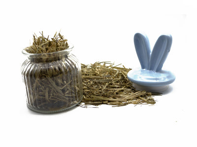 Dried coriander stalks in a glass jar with loose stalks scattered beside a blue ceramic rabbit dish