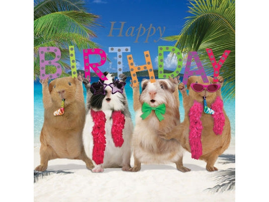 Four guinea pigs with birthday hats and sunglasses on a beach background