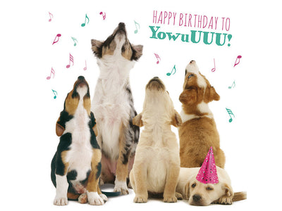 Four dogs with musical notes and 'Happy Birthday to YowuUUU!' text on a white background