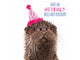 Otter wearing a birthday hat with text 'Have an otterly brilliant birthday!' on a white background