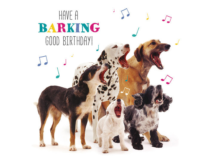 Five dogs of different breeds with musical notes and 'Have a Barking Good Birthday!' text on a white background.