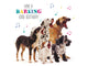 Five dogs of different breeds with musical notes and 'Have a Barking Good Birthday!' text on a white background.