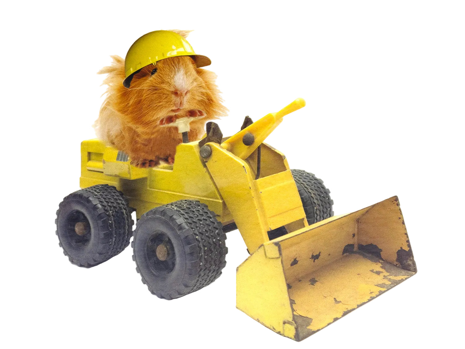 Cat wearing a yellow hard hat sitting inside a toy bulldozer on a white background