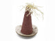 Rosewood Pink Wacky Wobblers