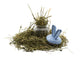 A Jars filled with Alfalfa (Coarse)