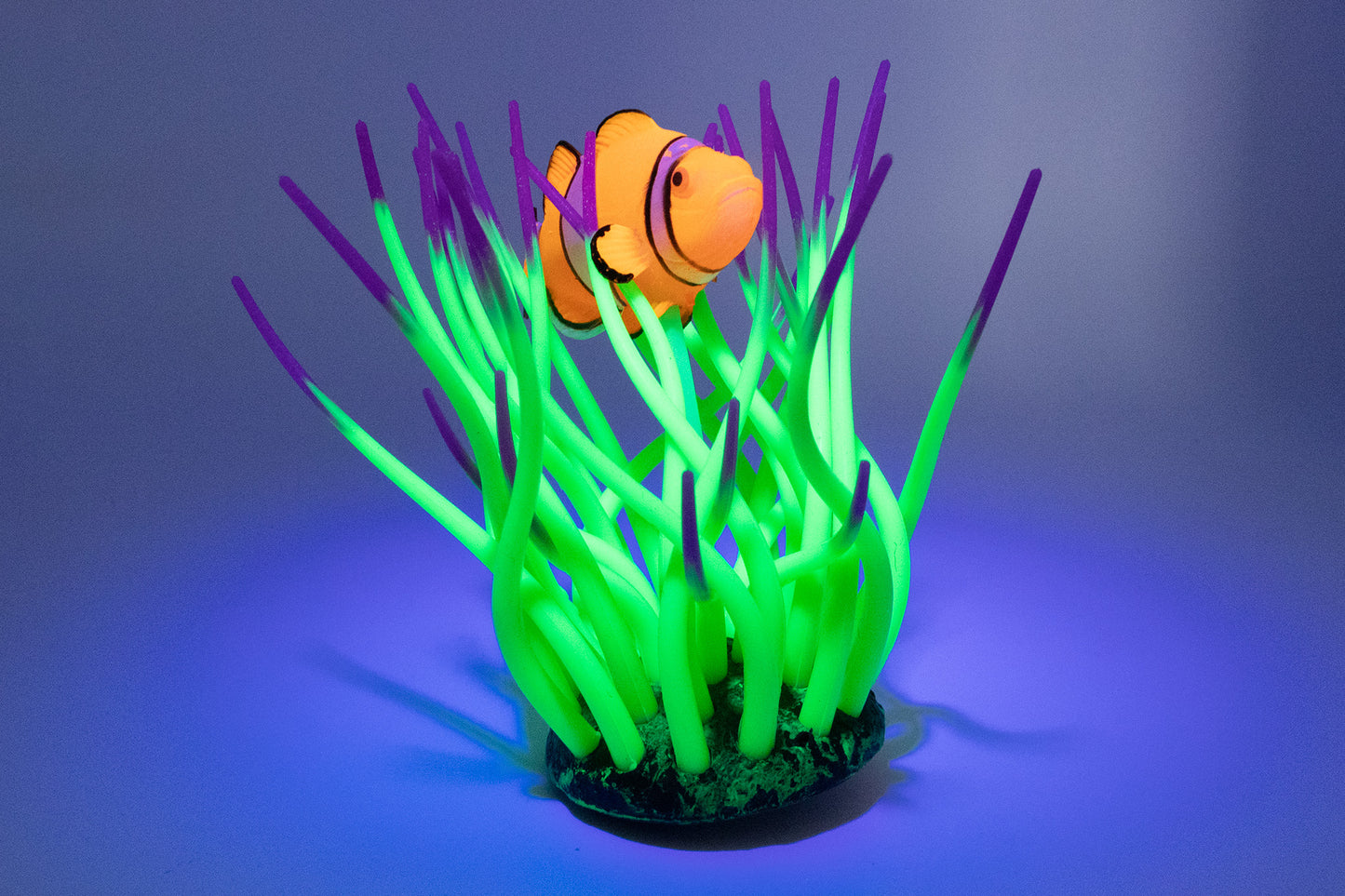 Classic Aqua Lumo Clown Fish Sea Anemone Aquarium Ornament