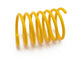 Cat Spring Toy