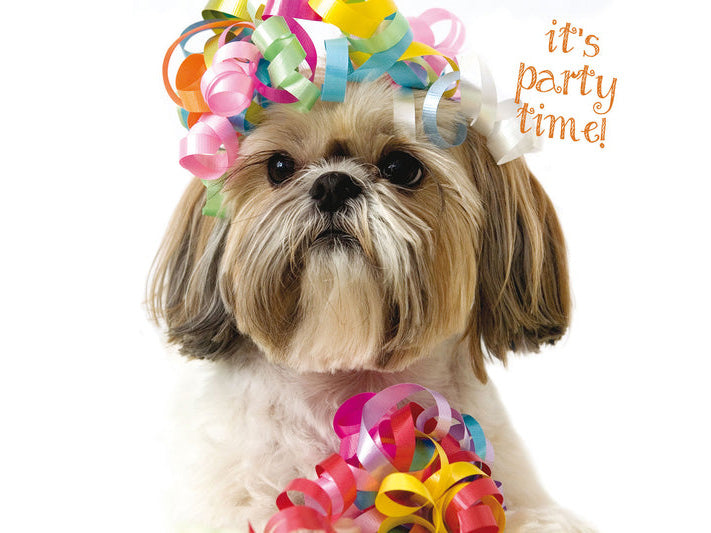 Dog wearing colorful party hats with text 'it's party time!' on a white background