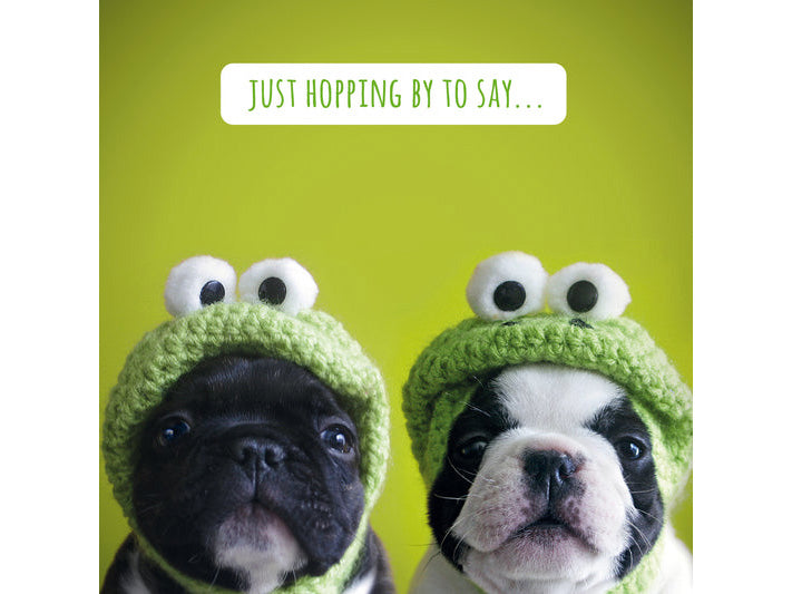 Two dogs wearing green frog hats against a green background with text.