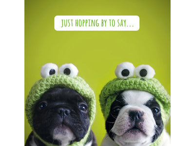 Two dogs wearing green frog hats against a green background with text.