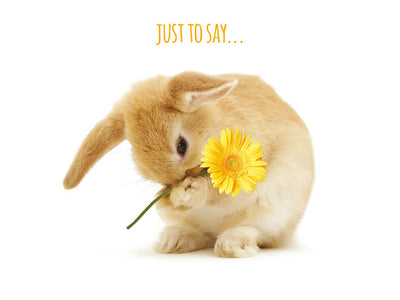 Cute bunny holding a yellow flower with text 'JUST TO SAY...' on a white background