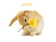 Cute bunny holding a yellow flower with text 'JUST TO SAY...' on a white background