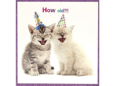 Two kittens wearing party hats with the text 'How old?!!' on a white background.
