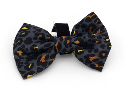 Funk the Dog Leopard Print Bow Tie (Large)