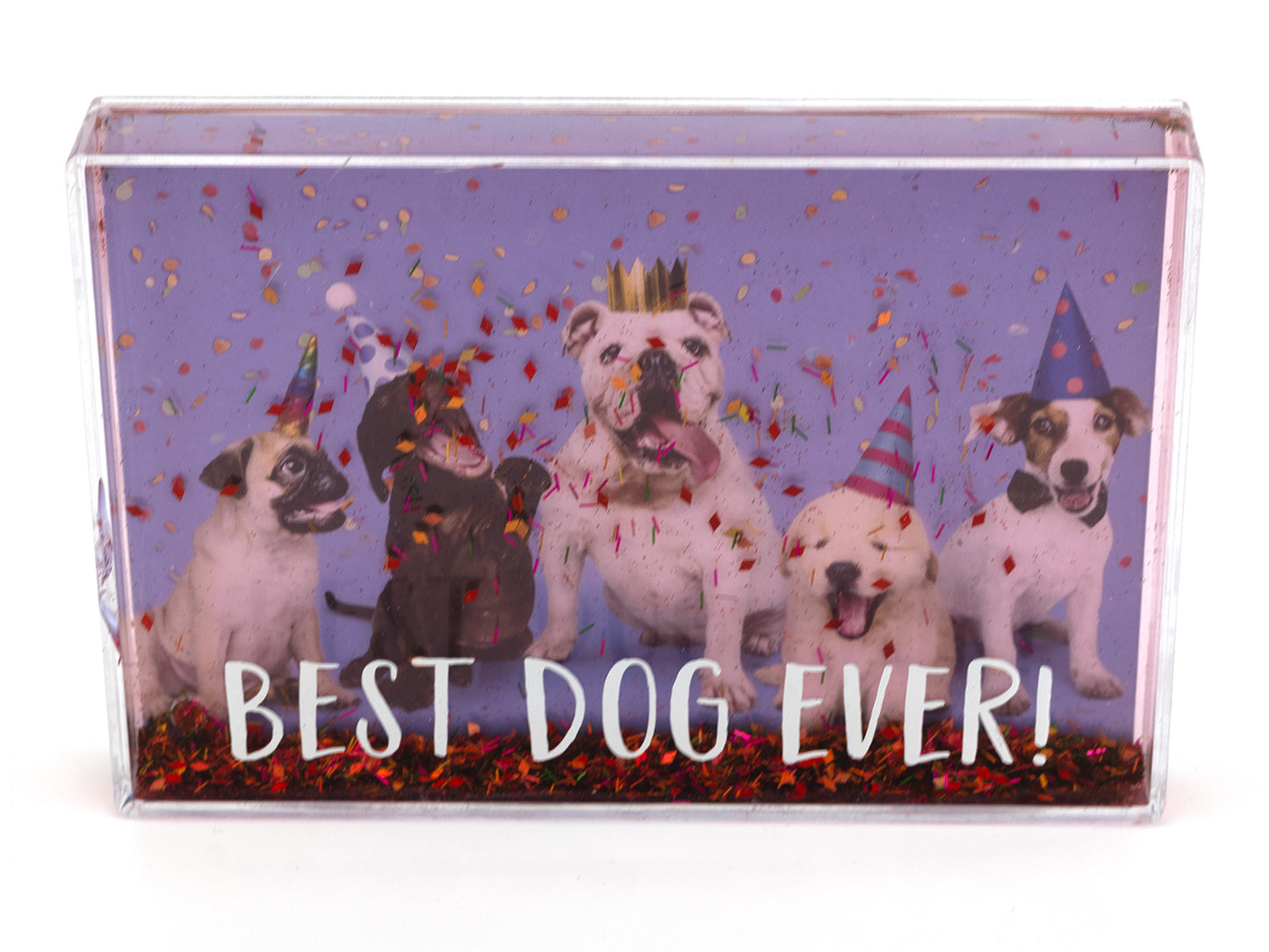 Shaker with illustration of dogs wearing party hats and confetti, with 'Best Dog Ever!' text on a purple background.