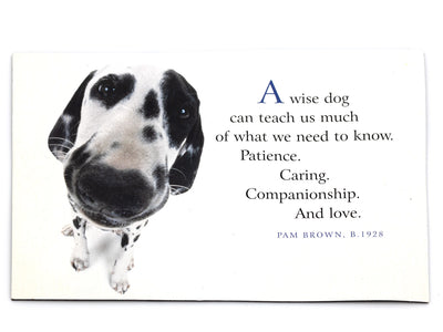Dalmatian dog with a quote on a white background