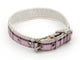 Dog collar with a plaid pattern on a white background