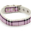 Dog collar with purple plaid pattern on a white background