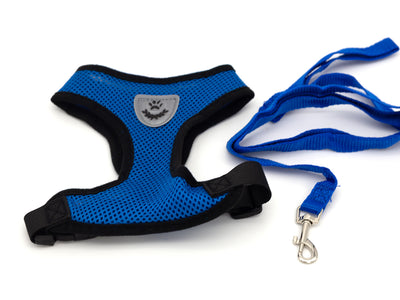 Blue Mesh Harness & Lead  (Medium)