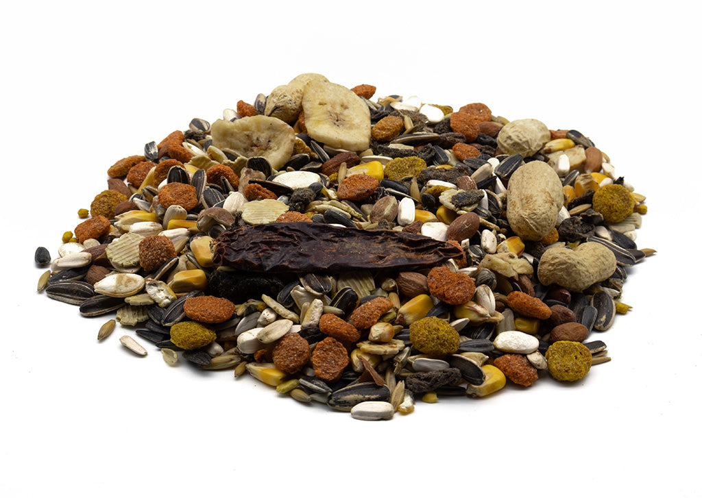Assorted bird seed mix on a white background