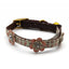 A leather collar with a dark brown strap, featuring a light green patterned fabric section decorated with pinkish-red flowers with silver centers, and gold-tone metal hardware.