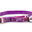 A pink cat collar with a printed pattern of fish, stars, and bones, featuring a silver metal buckle and a silver bell.