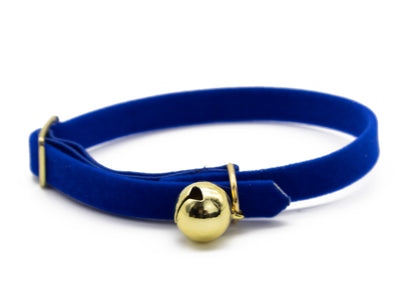 A royal blue velvet choker collar with a small polished gold bell and gold-toned metal hardware, shown on a plain white background.