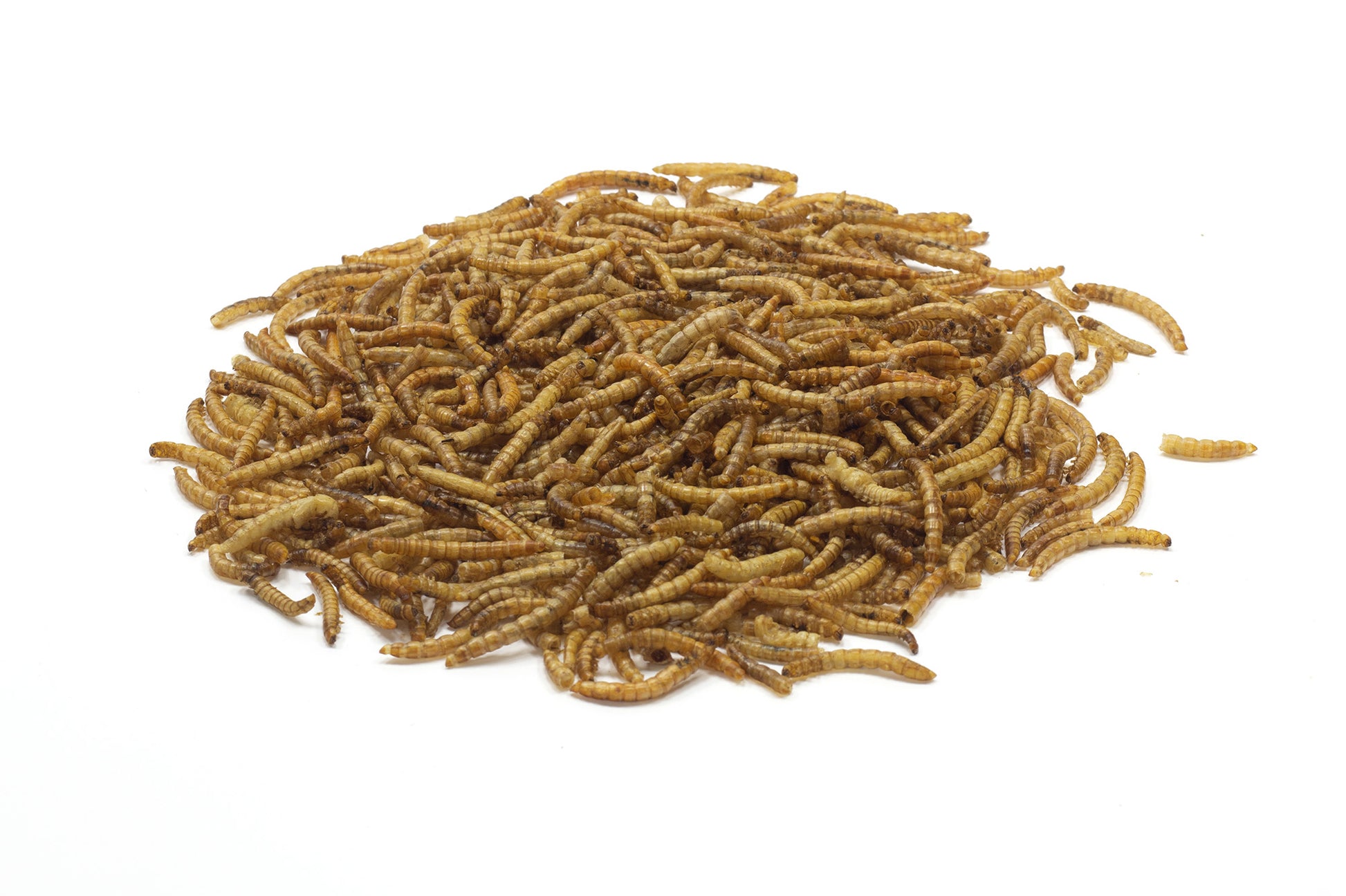 A pile of dried mealworms