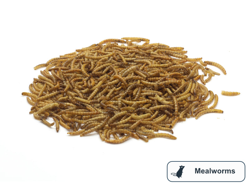 Mealworms (Dried)