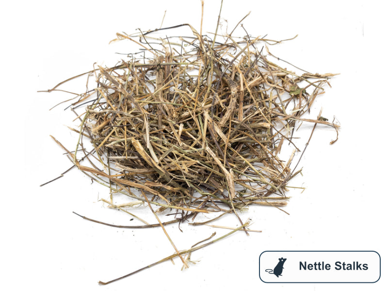 A pile of dried nettle stalks