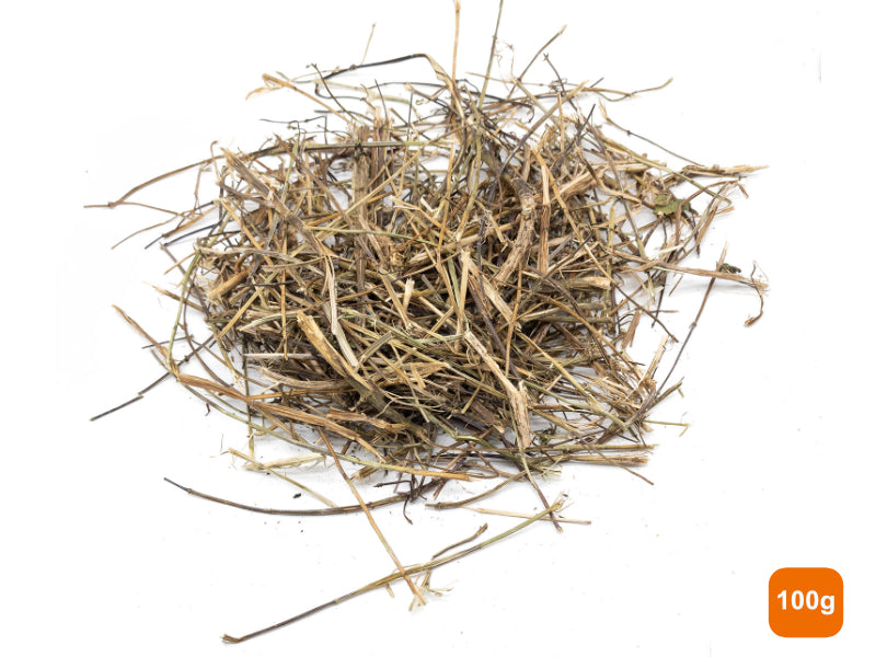 A pile of dried nettle stalks 100g