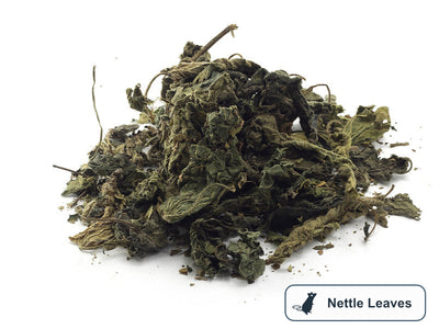 A pile of nettle leaves