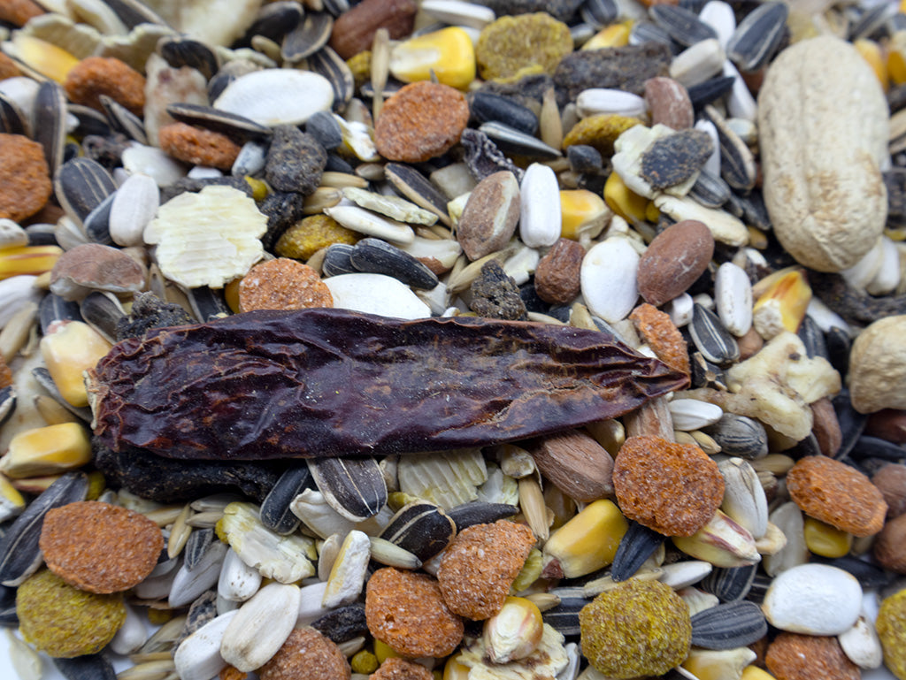 Assorted bird seed mix with a focus on a dark seed pod.