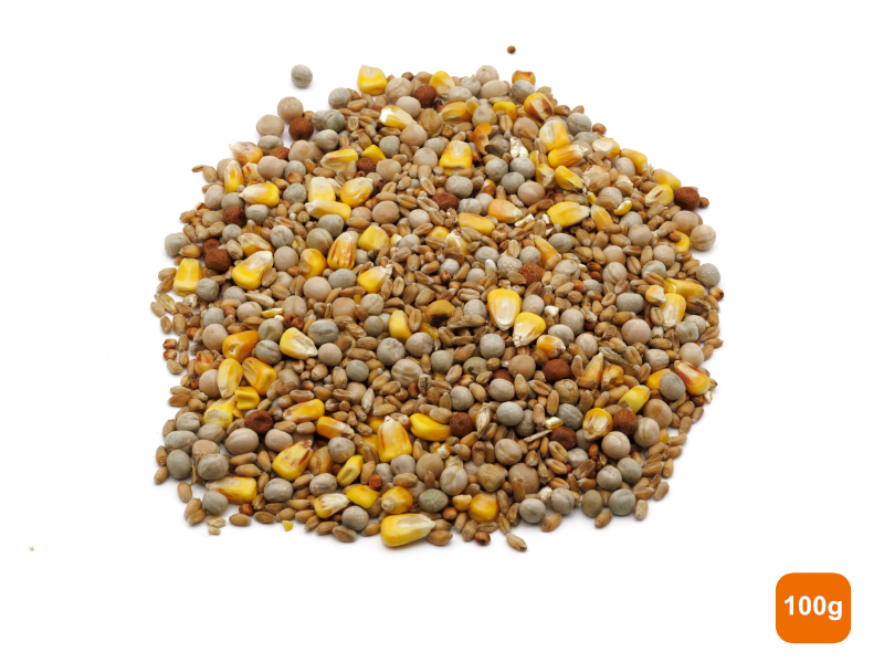 A pile of pigeon corn 100g